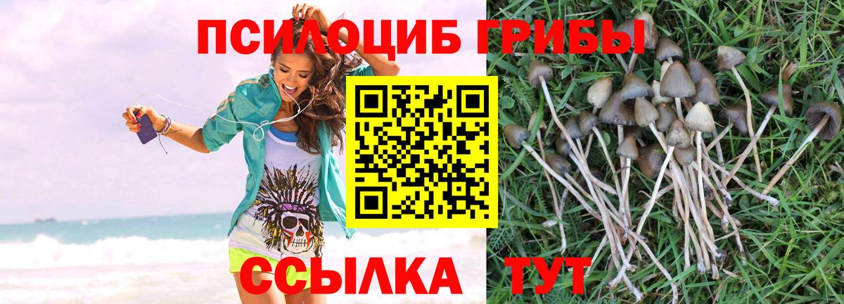 Галлюциногенные грибы Magic Shrooms Зима