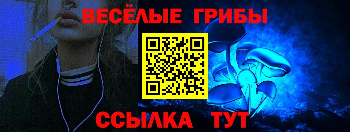 Псилоцибиновые грибы MAGIC MUSHROOMS  цены   Зима  Вход с VPN 